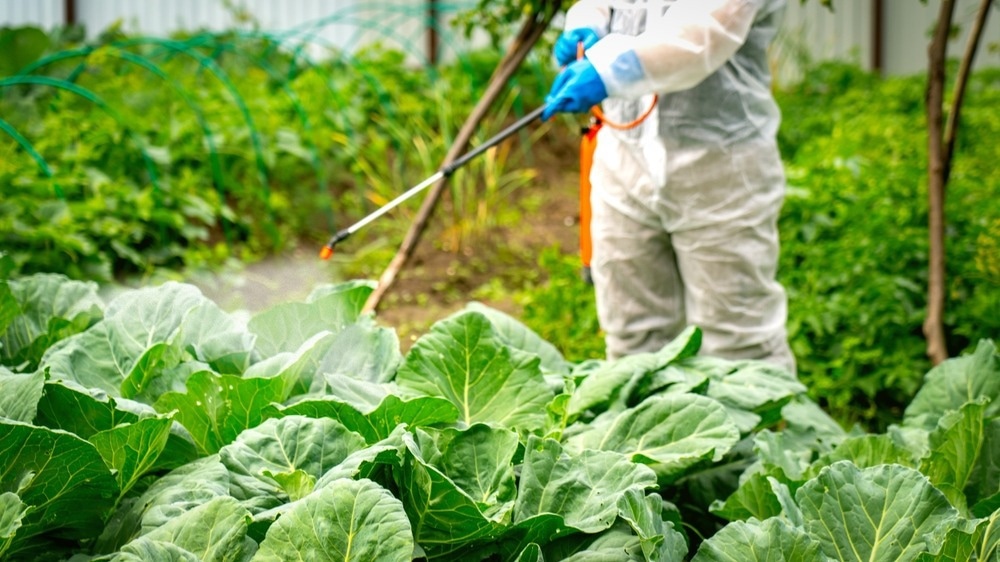 Study: Comprehensive assessment of pesticide use patterns and increased cancer risk. Image Credit: AntonSAN/Shutterstock.com