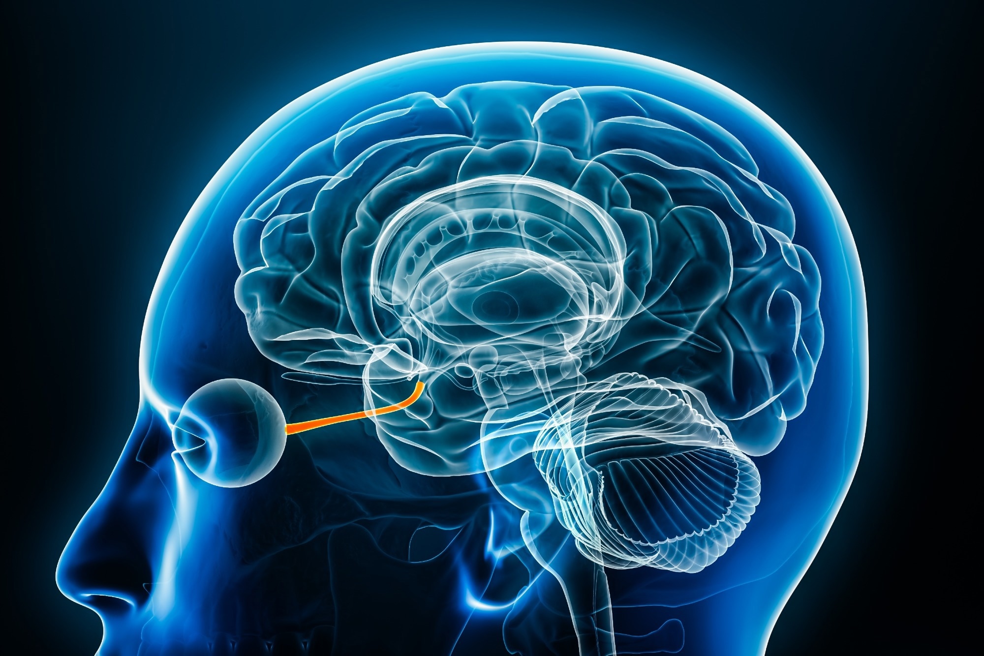 Study: Risk of Nonarteritic Anterior Ischemic Optic Neuropathy in Patients Prescribed Semaglutide. Image Credit: MattL_Images / Shutterstock
