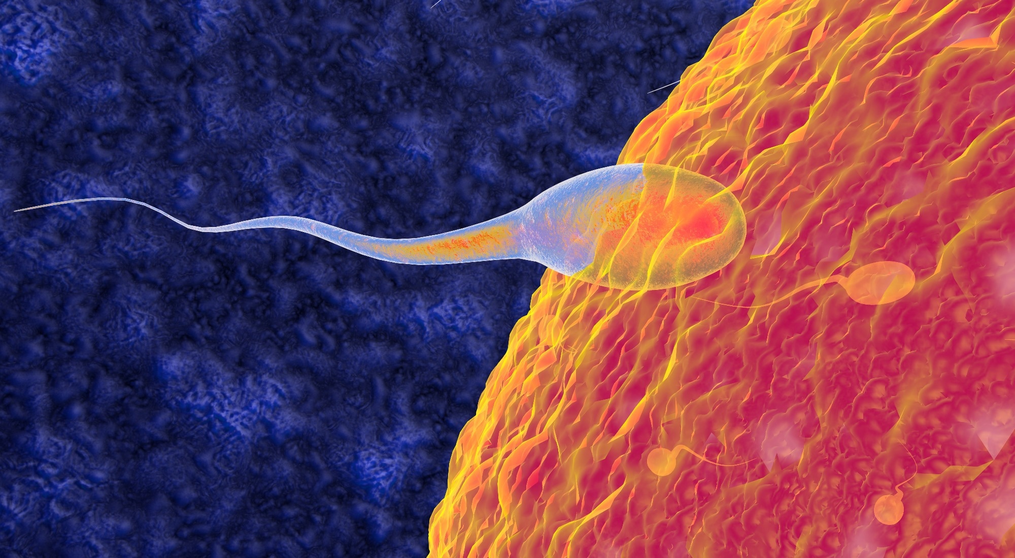 Study: Prevalence of anxiety symptoms in infertile men: a systematic review and meta-analysis. Image Credit: Numstocker / Shutterstock.com