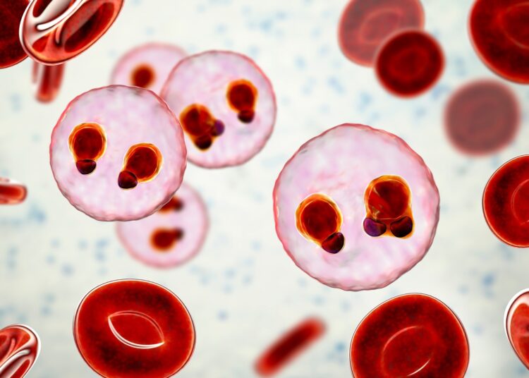 Review: Malaria vaccines: a new era of prevention and control. Image Credit: Kateryna Kon / Shutterstock