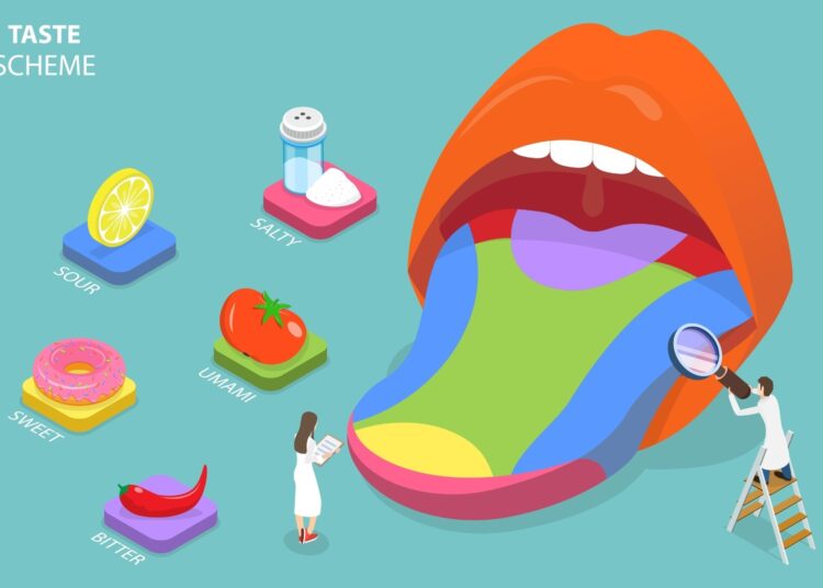 Study: Predicting multiple taste sensations with amultiobjective machine learning method. Image Credit: TarikVision/Shutterstock.com
