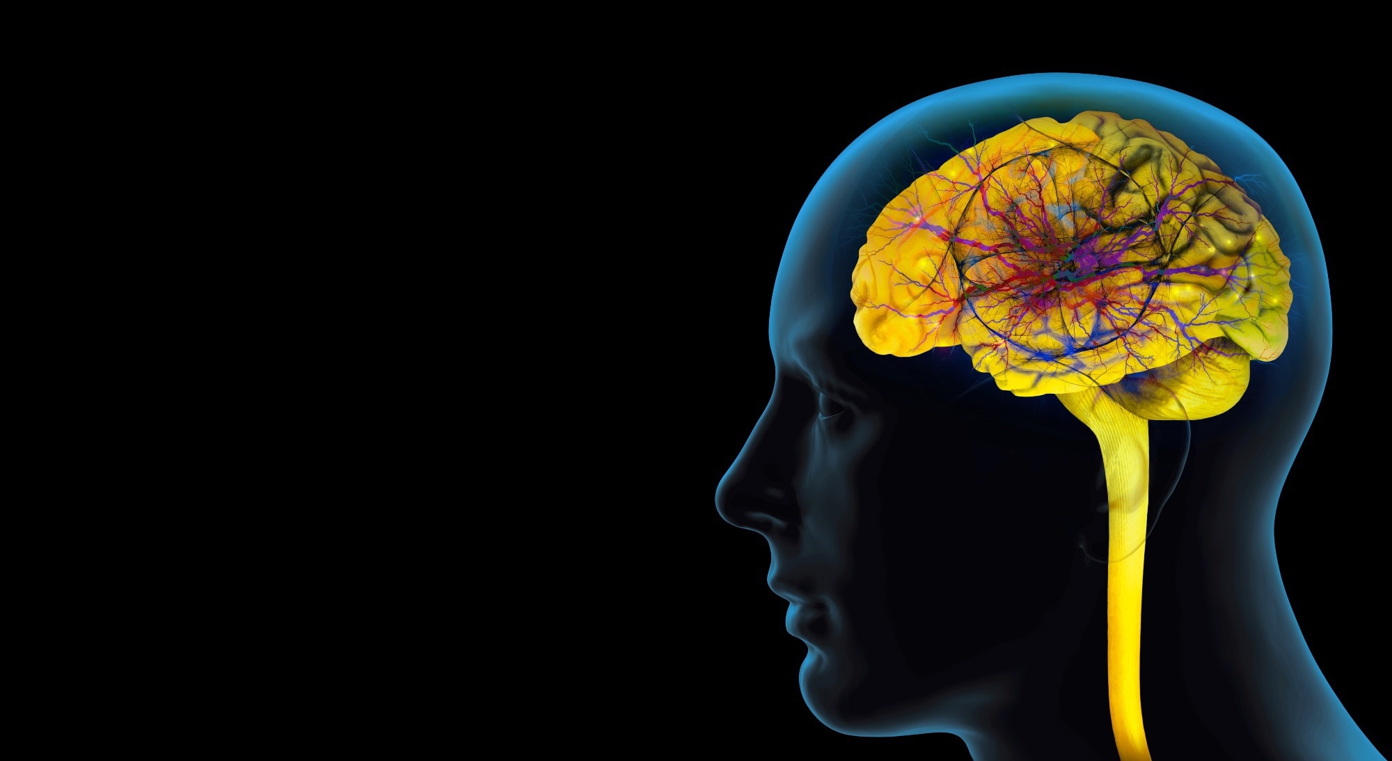 Prédire le comportement à partir des caractéristiques de l'image : les enseignements du réglage cortical