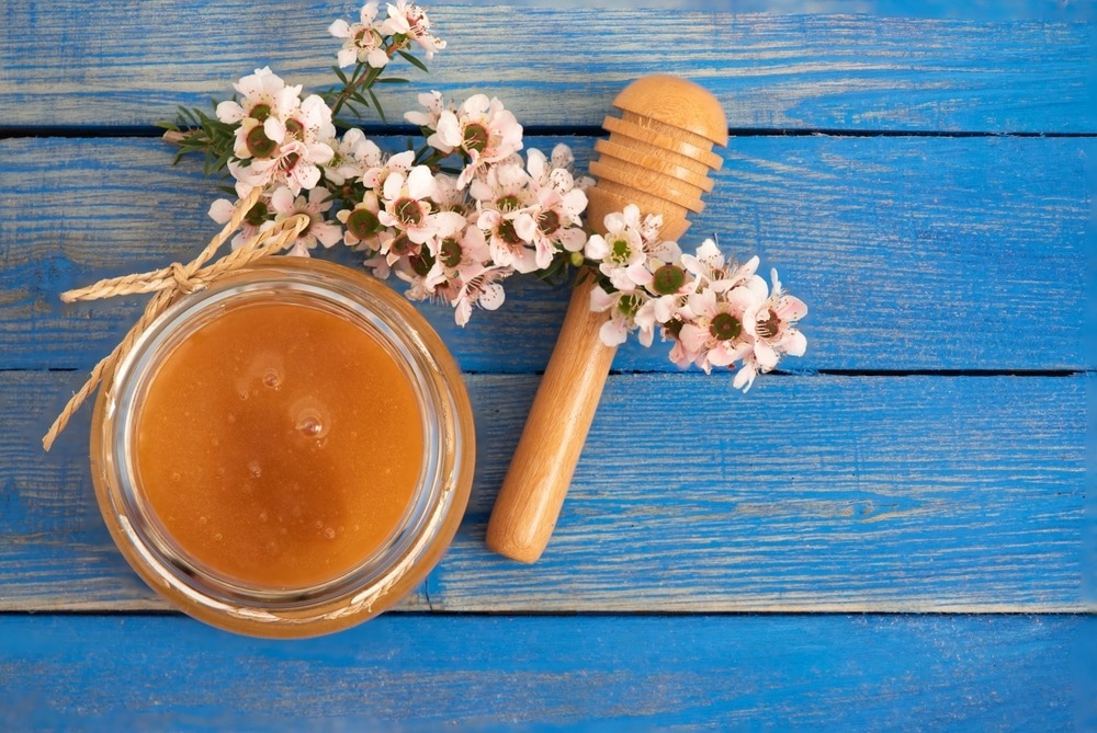 Study: Manuka Honey Inhibits Human Breast Cancer Progression in Preclinical Models. Image Credit: wasanajai/Shutterstock.com