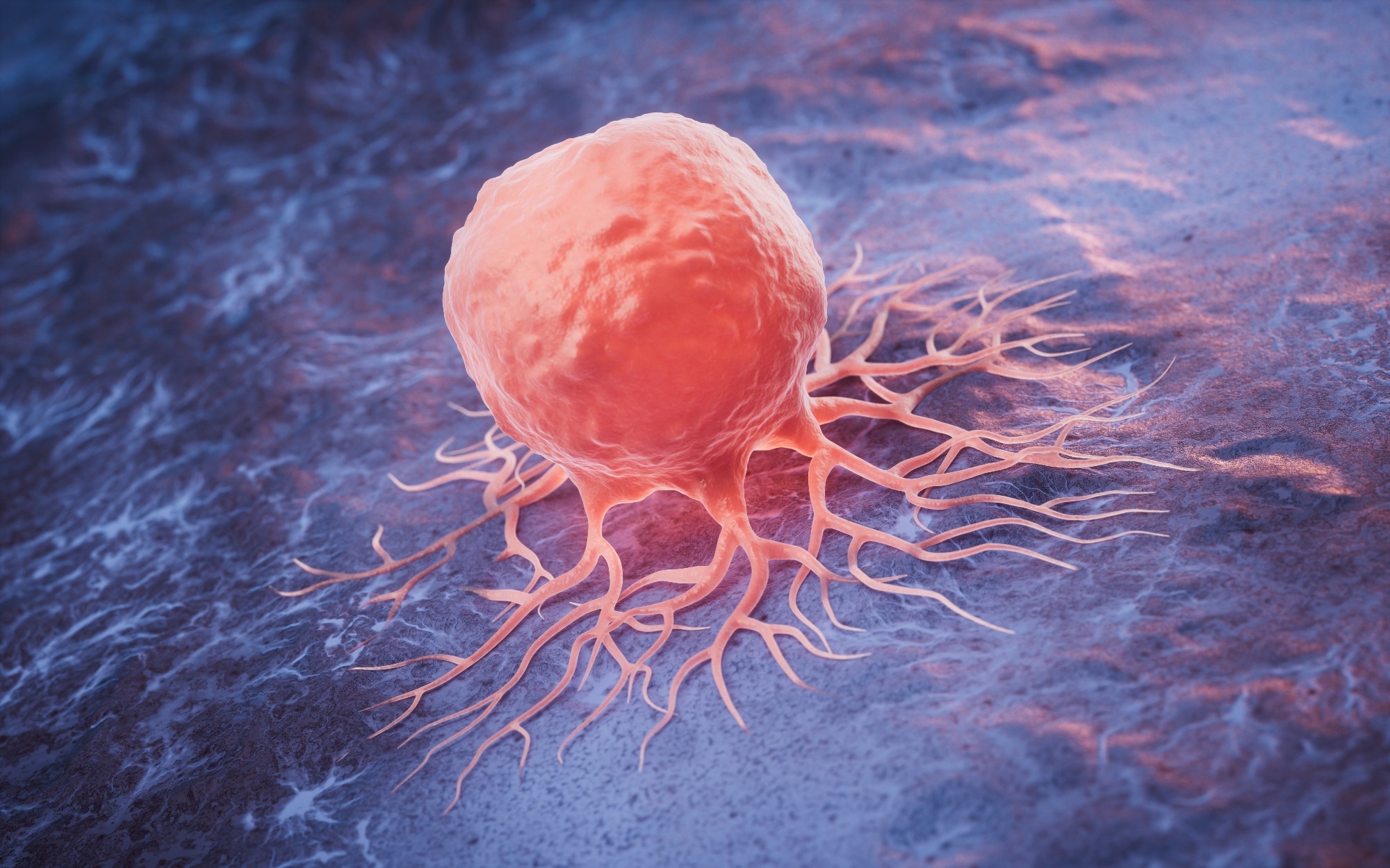 Le jeûne et le régime cétogène révèlent une nouvelle vulnérabilité des tumeurs pancréatiques aux médicaments anticancéreux existants