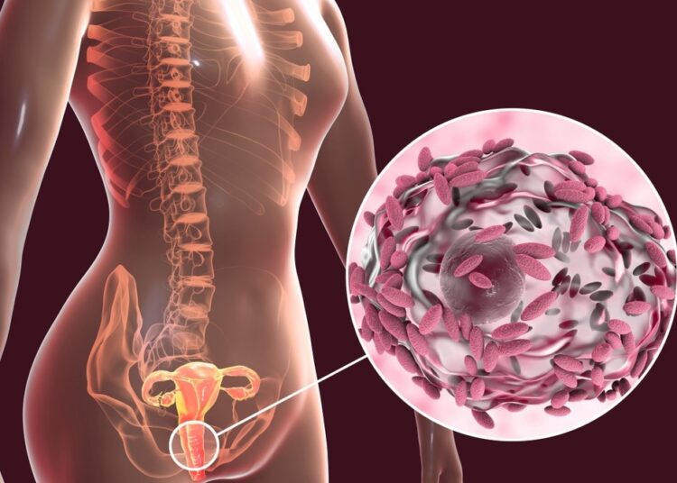Study: Vaginal Lactobacillus fatty acid response mechanisms reveal a metabolite-targeted strategy for bacterial vaginosis treatment. Image Credit: Kateryna Kon/Shutterstock.com