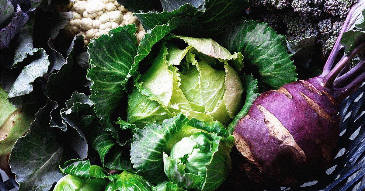 Manger moins de folate pourrait-il réellement aider le métabolisme vieillissant ?