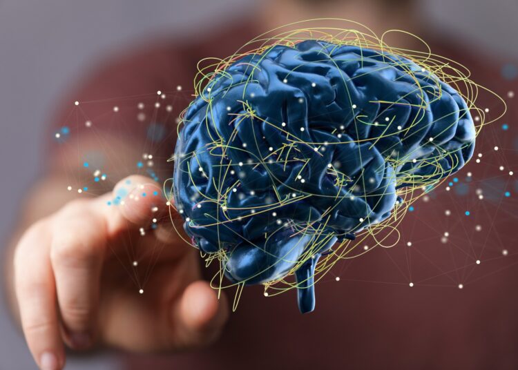 Surreal-GAN, un outil d'intelligence artificielle, identifie divers modèles de vieillissement cérébral