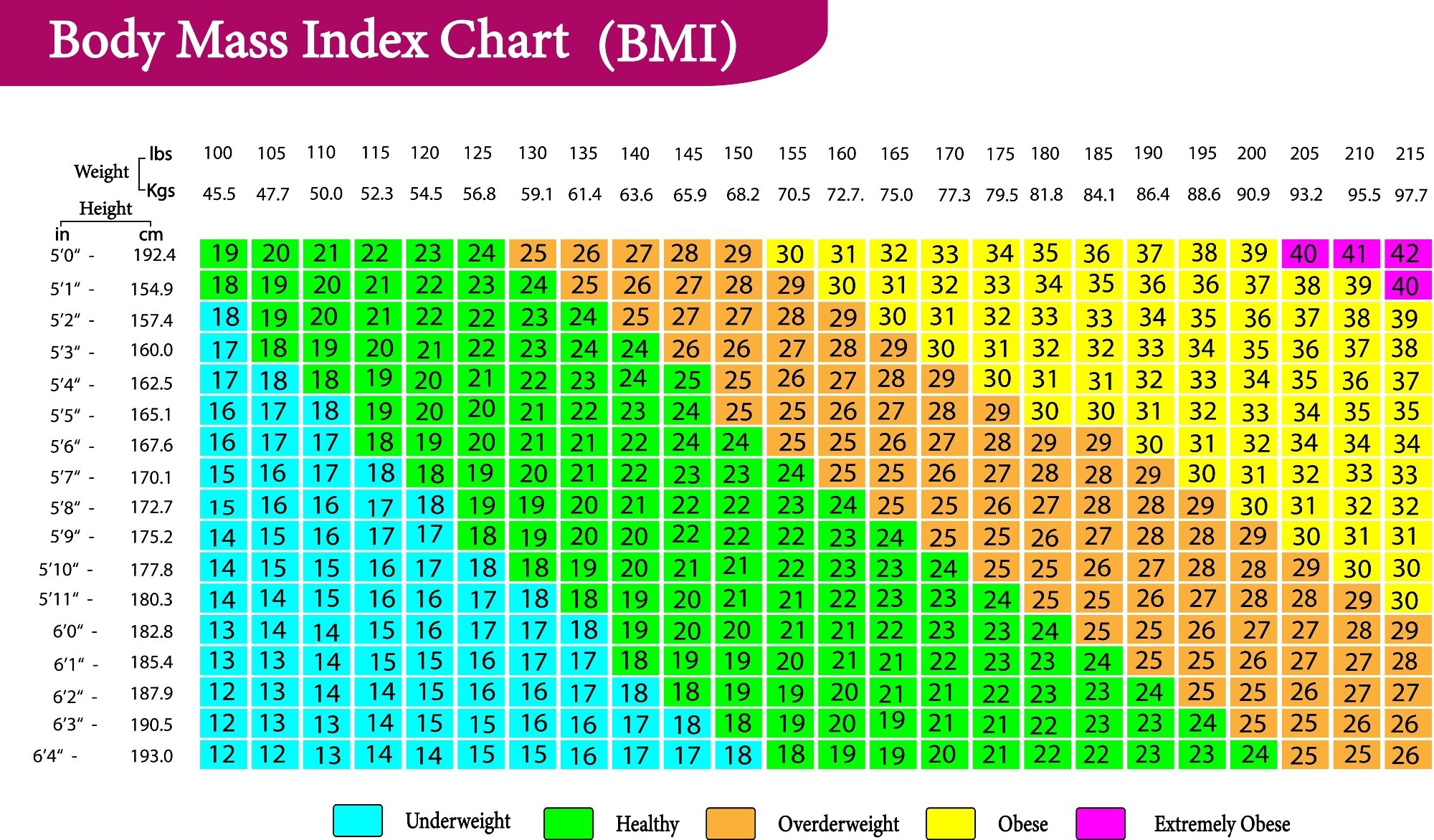 Study: Early adulthood BMI and cardiovascular disease: a prospective cohort study from the China Kadoorie Biobank. Image Credit: ProfDesigner / Shutterstock