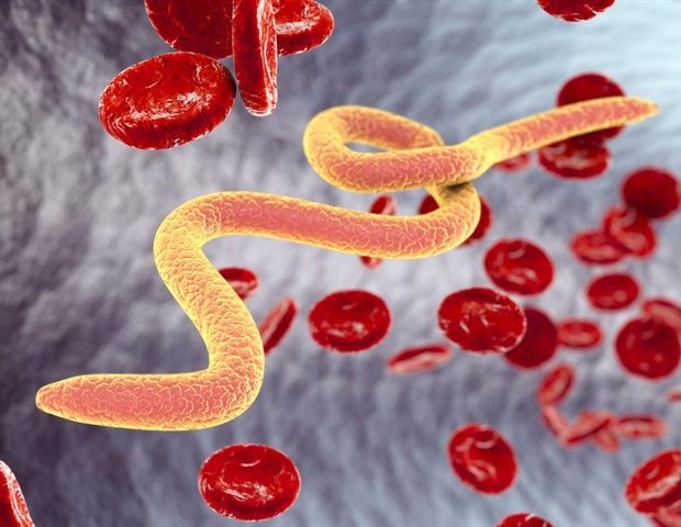 Une approche « Une seule santé » pour lutter contre les infections à Acanthamoeba à l'UNGA79