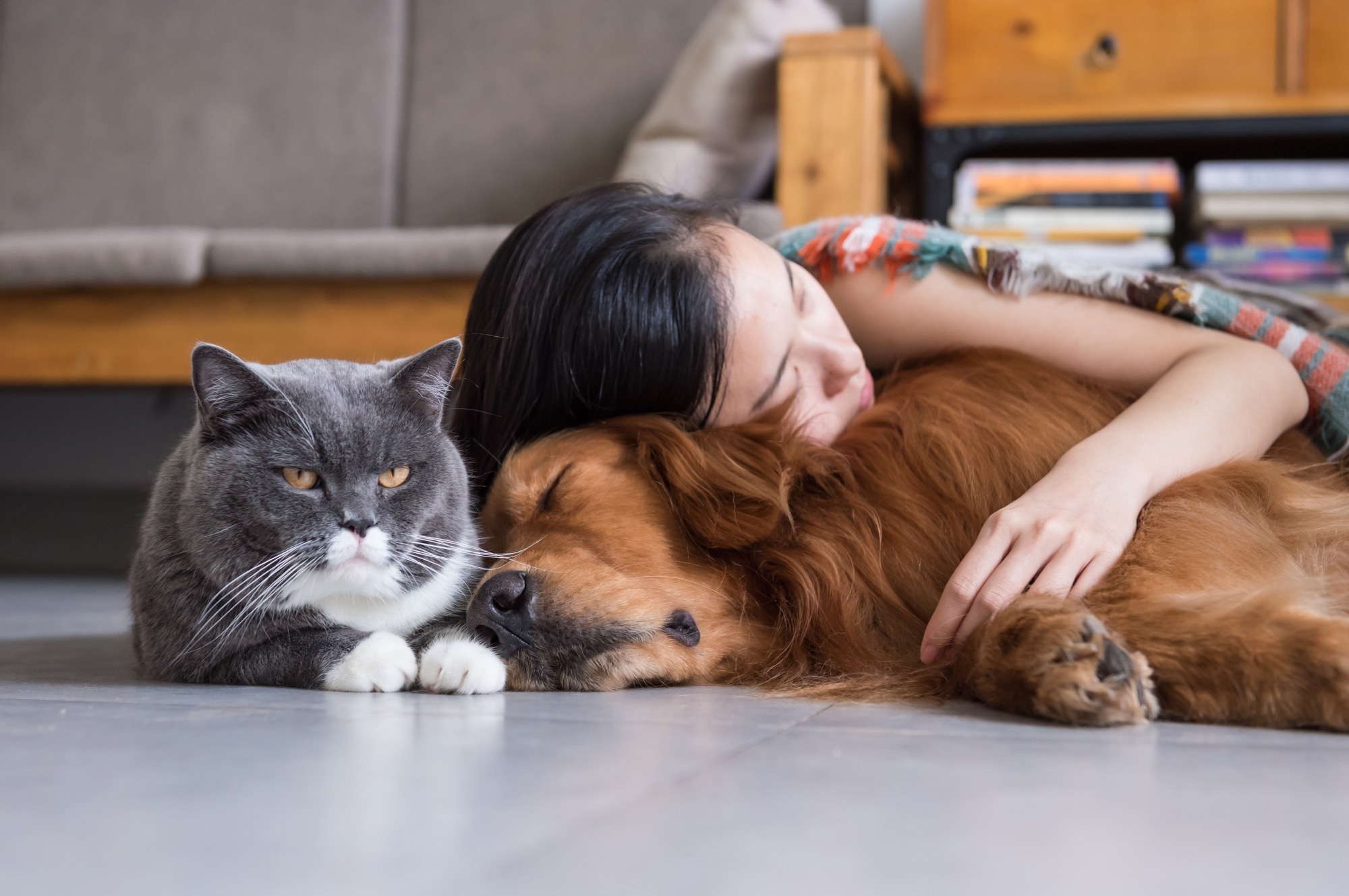 La possession d’un animal de compagnie n’a pas amélioré les symptômes de santé mentale pendant la pandémie de COVID-19