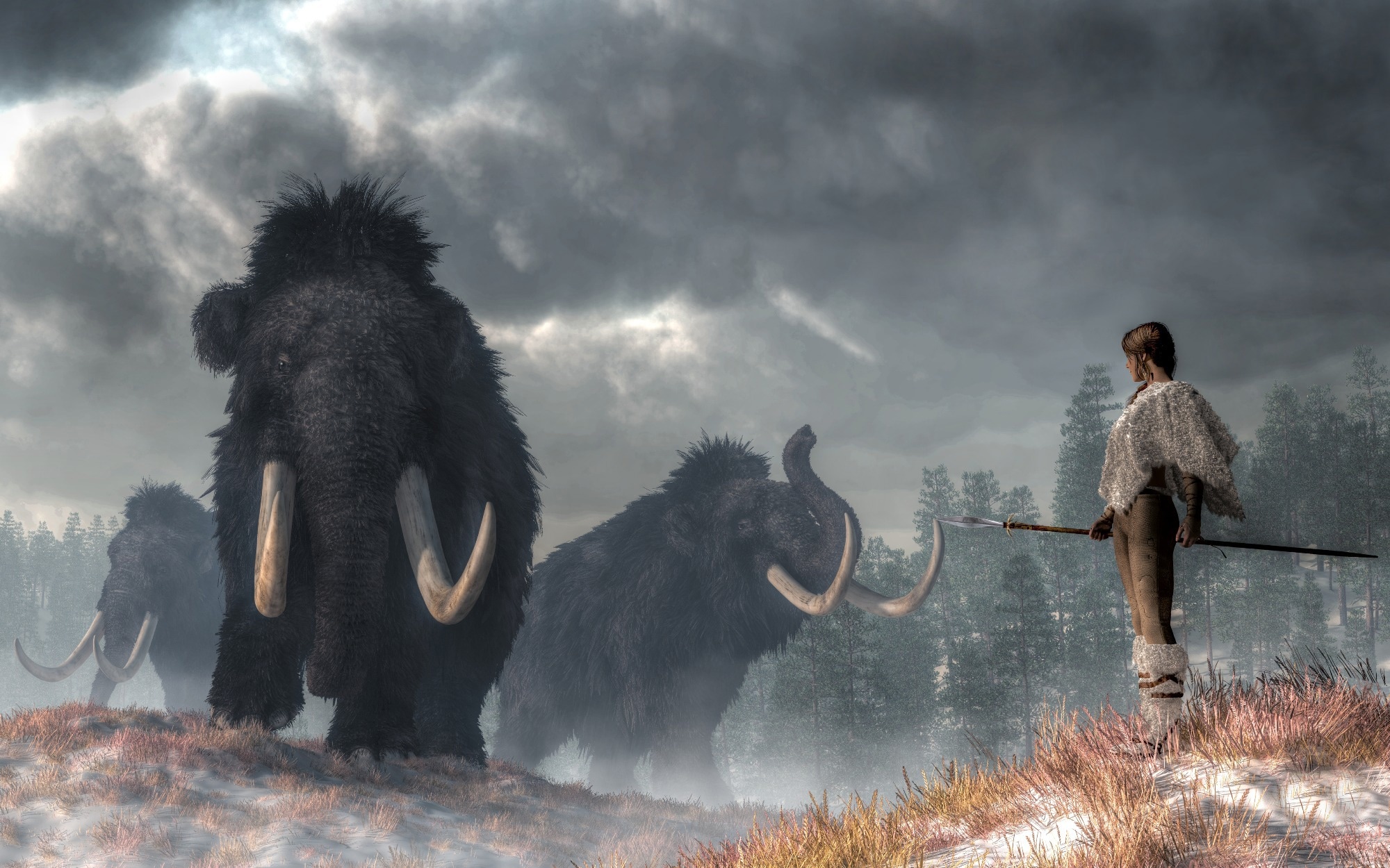 Review: Past climate change effects on human evolution. Image Credit: Daniel Eskridge / Shutterstock