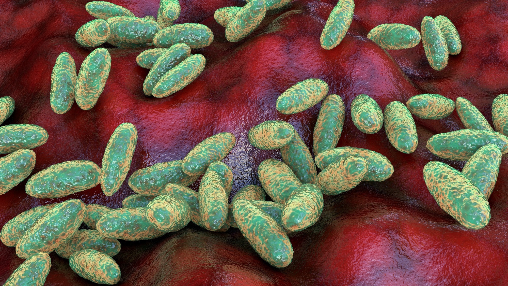 Study: Zoonotic potential of urban wildlife faeces, assessed through metabarcoding. Image Credit: Kateryna Kon / Shutterstock.com
