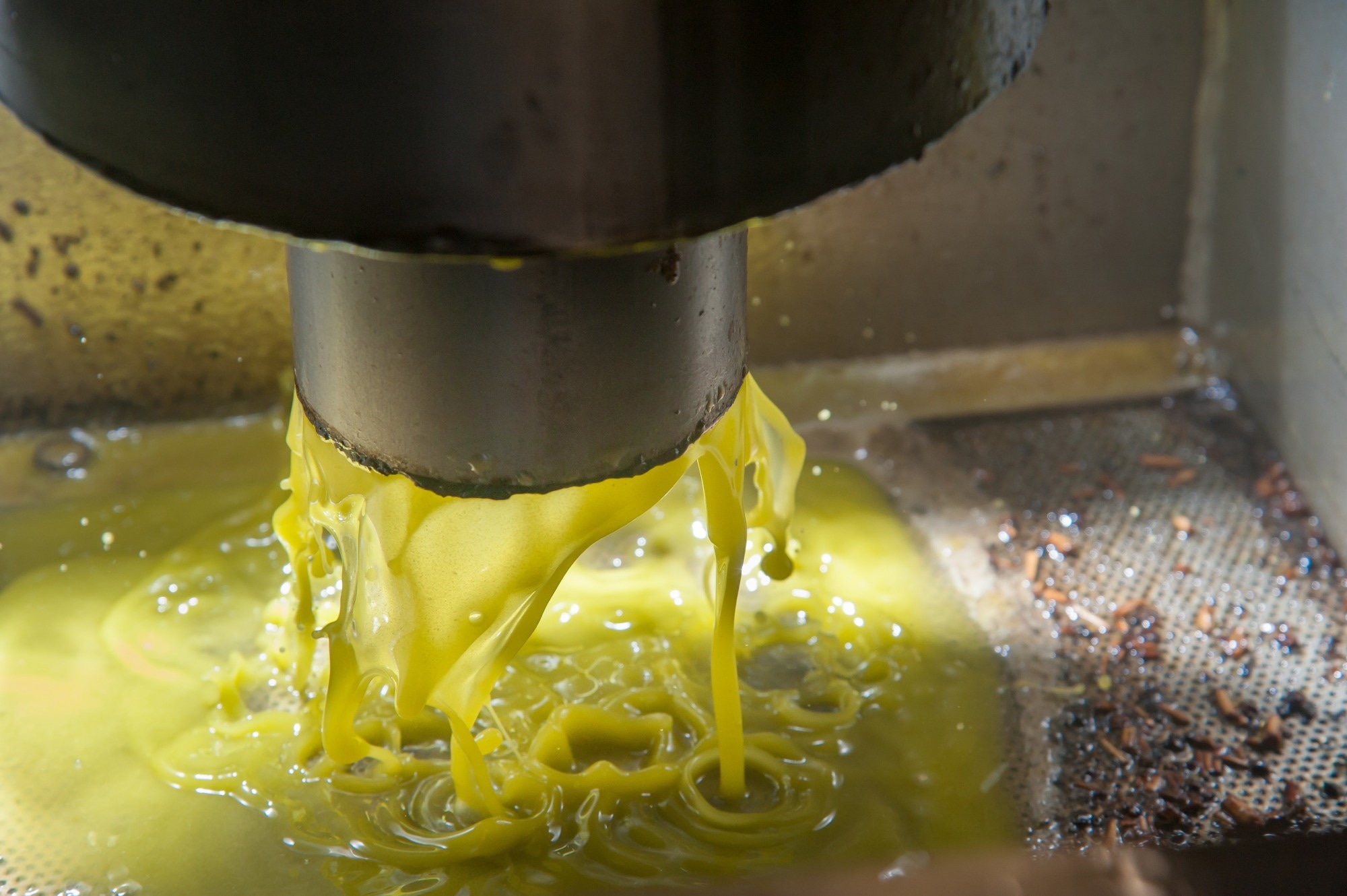 Les sous-produits de la production d'huile d'olive sont prometteurs pour la prévention des maladies cardiovasculaires, selon une étude