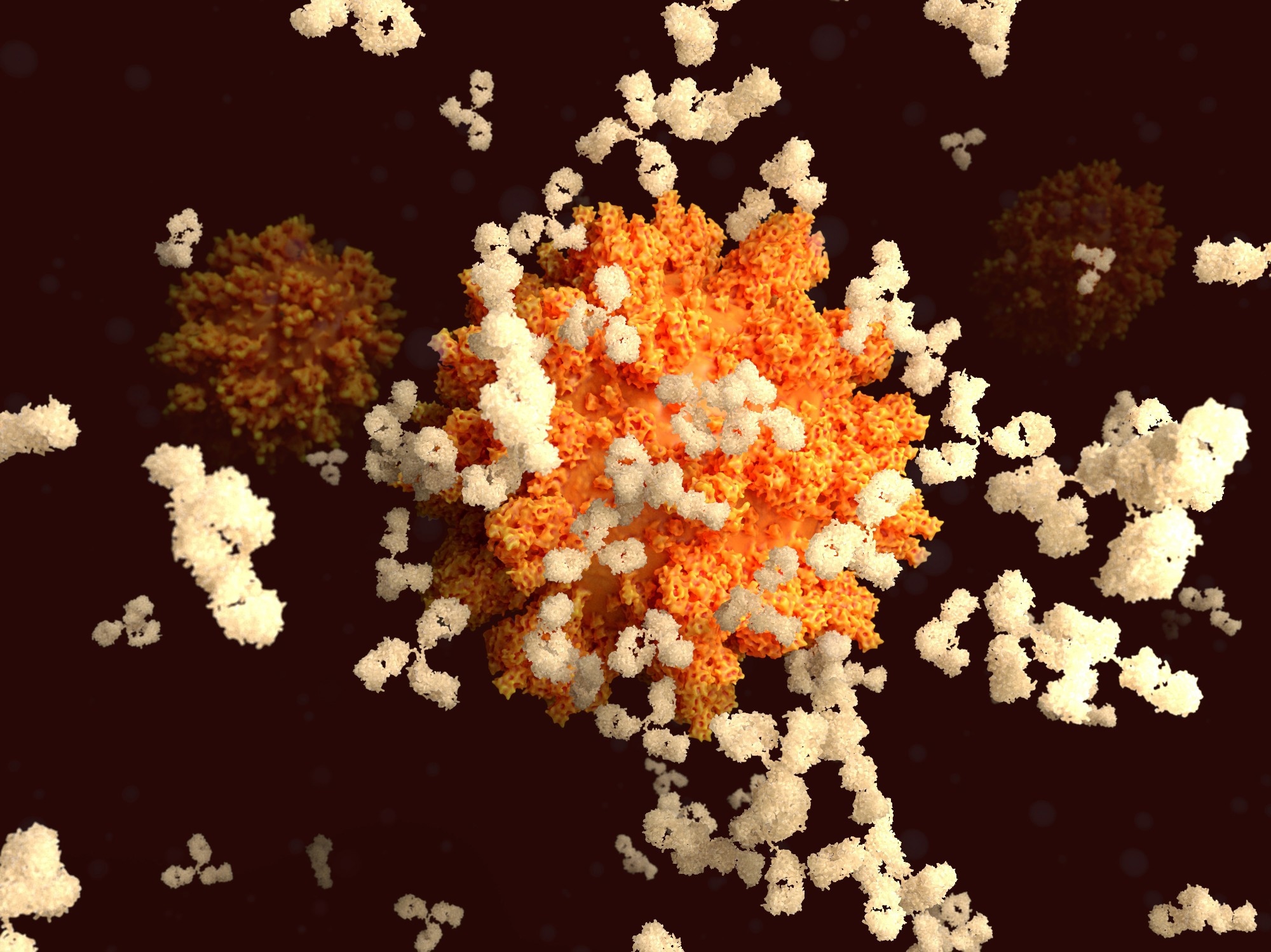 Study: Convergence of SARS-CoV-2 spike antibody levels to a population immune setpoint. Image Credit: Juan Gaertner / Shutterstock