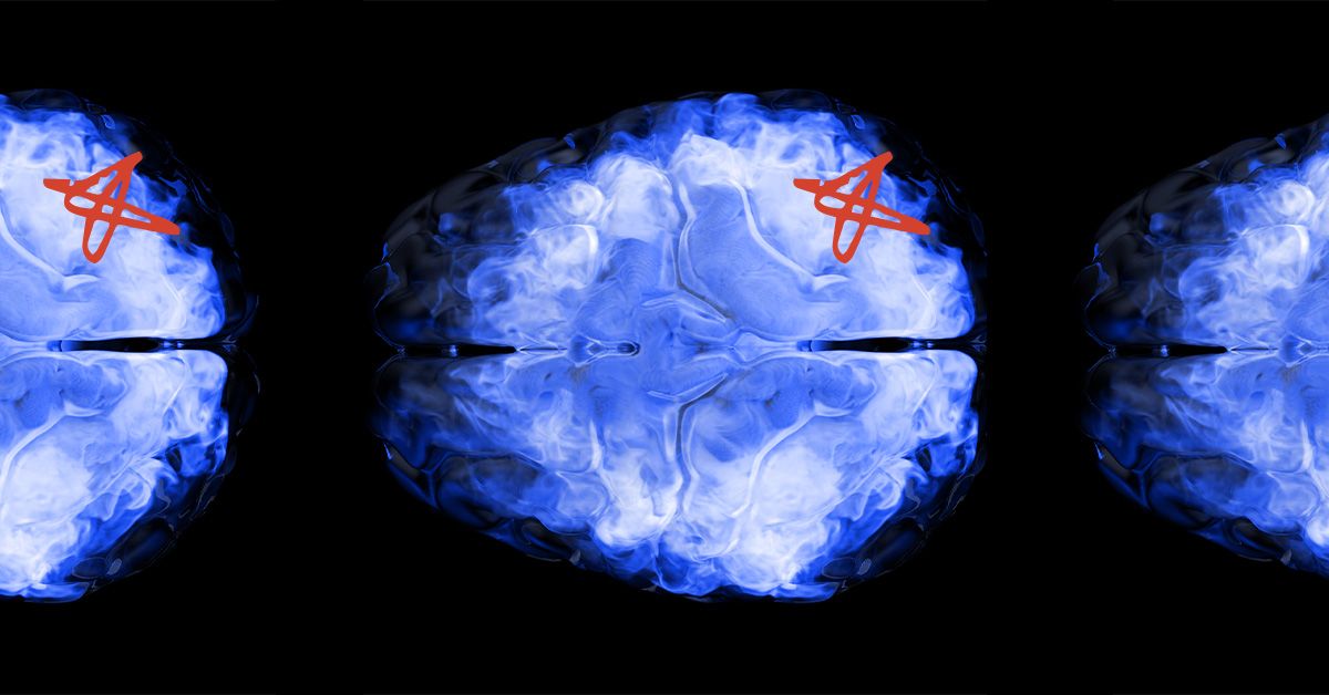 Comment le cerveau élimine les protéines toxiques pouvant entraîner un déclin cognitif