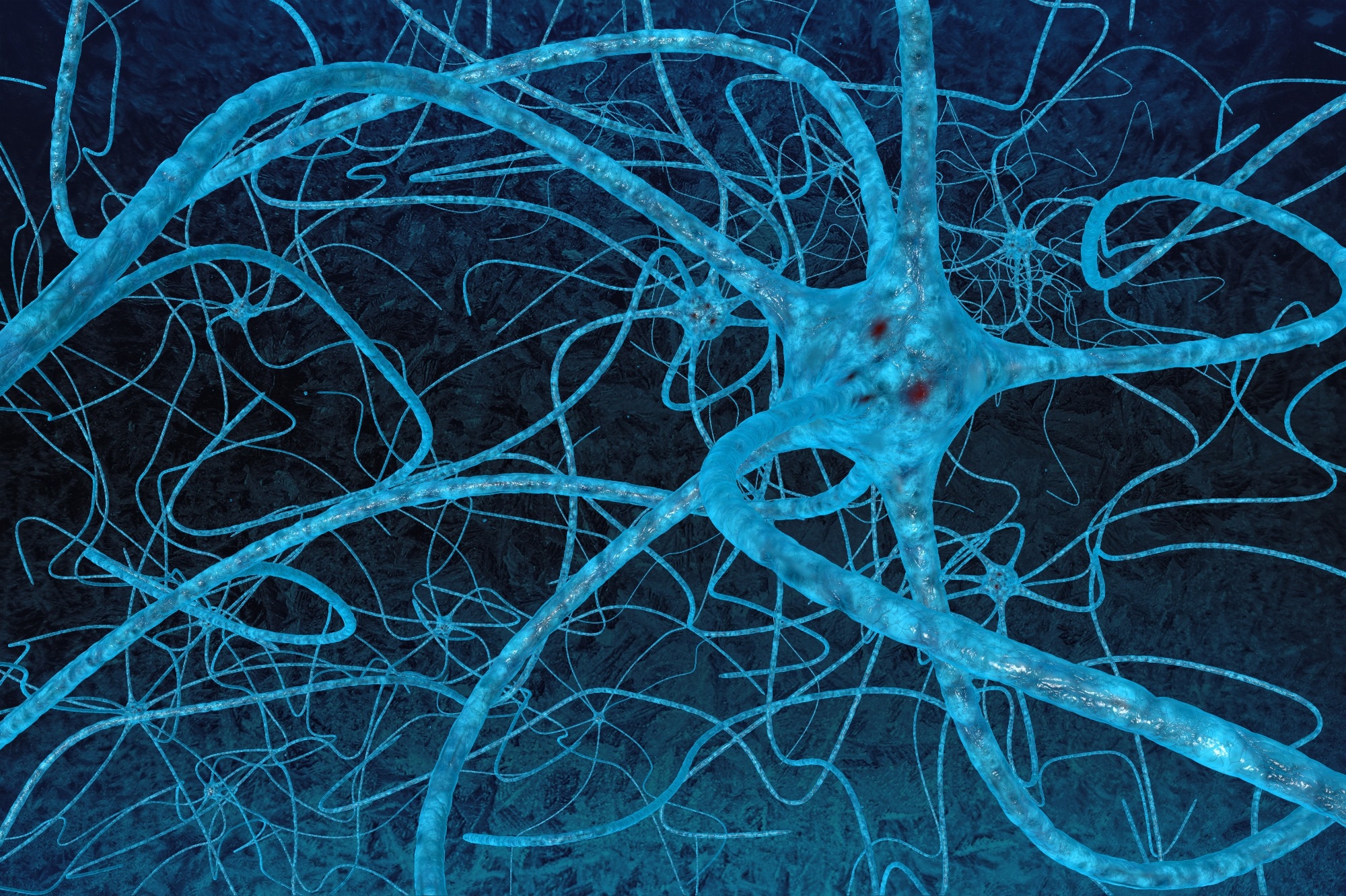 Des chercheurs dévoilent une carte neuronale complète du cerveau de la mouche des fruits