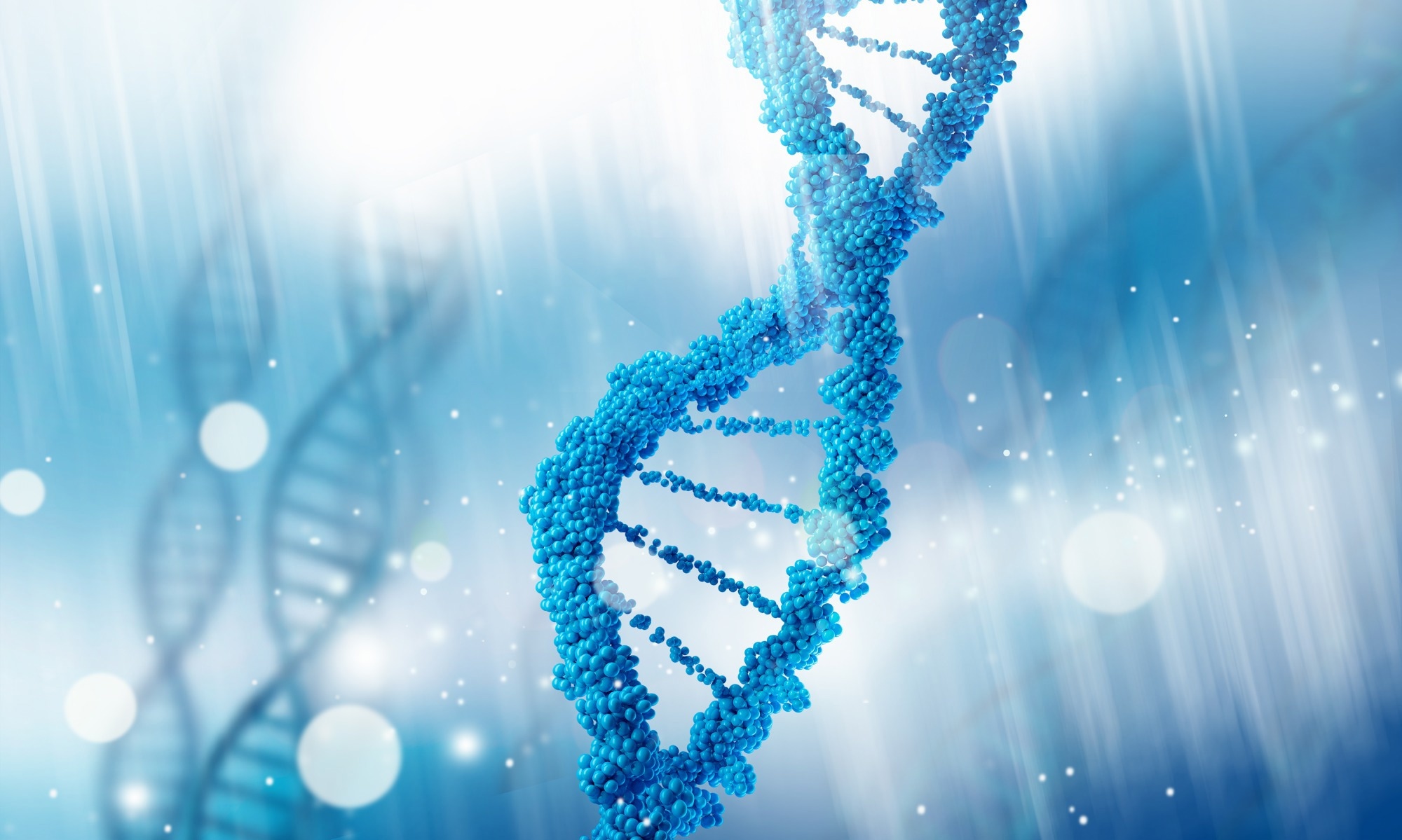 Study: Rare variant contribution to the heritability of coronary artery disease. Image Credit: Sergey Nivens / Shutterstock.com
