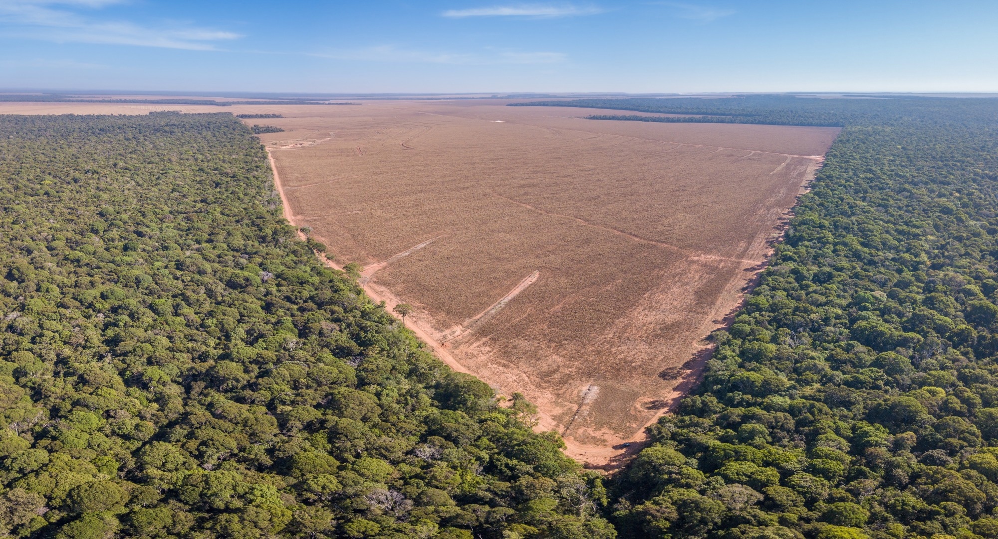 Study: Ecological change increases malaria risk in the Brazilian Amazon. Image Credit: PARALAXIS / Shutterstock