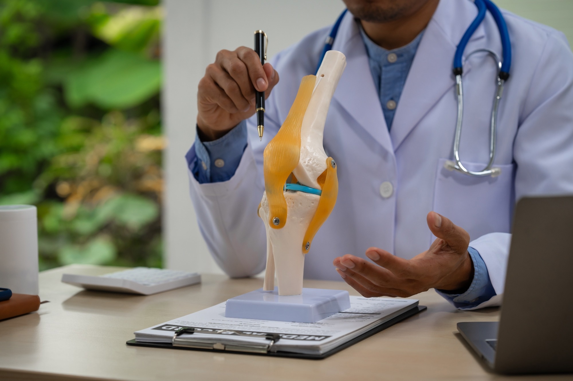 Study: Type-H endothelial cell protein Clec14a orchestrates osteoblast activity during trabecular bone formation and patterning. Image Credit: NTshutterth/Shutterstock.com