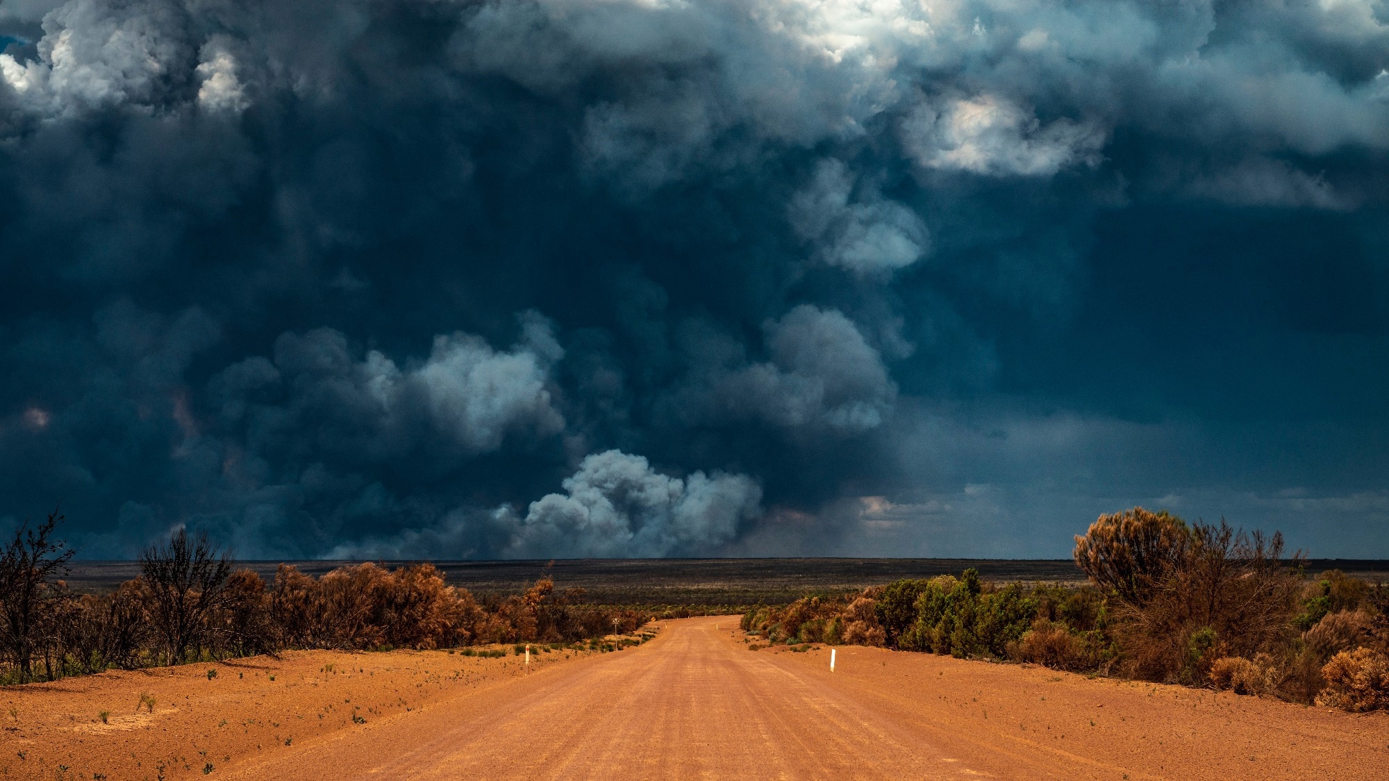 Study: Attributing human mortality from fire PM2.5 to climate change. Image Credit: josh.tagi / Shutterstock