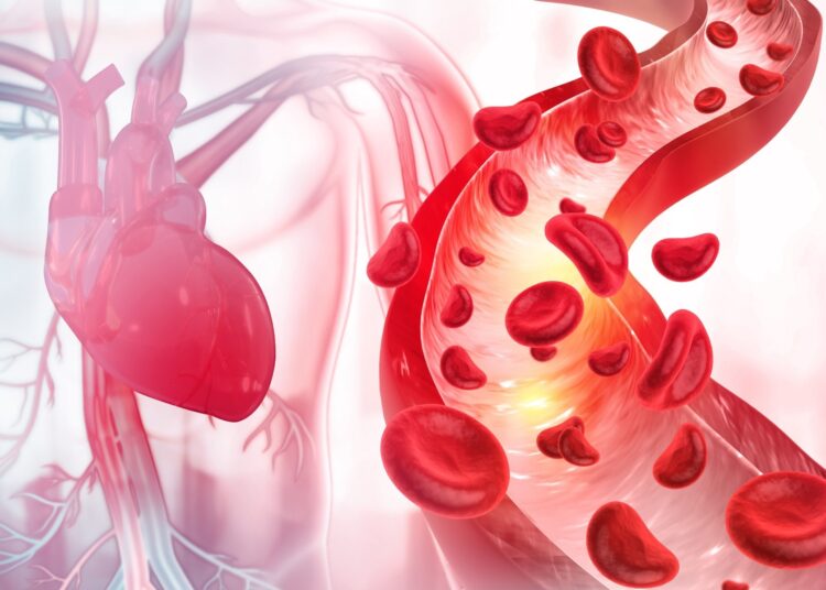 Study: COVID-19 Is a Coronary Artery Disease Risk Equivalent and Exhibits a Genetic Interaction with ABO Blood Type. Image Credit: crystal light / Shutterstock.com