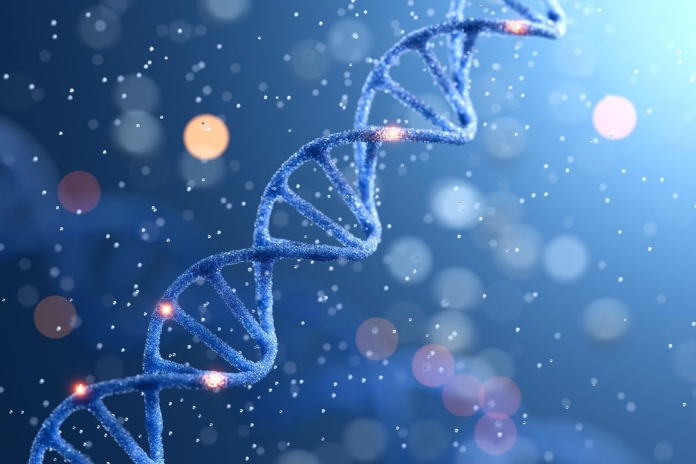 Study: HLA-DRB1*01:03 and Severe Ulcerative Colitis. Image Credit: Piyaset/Shutterstock.com