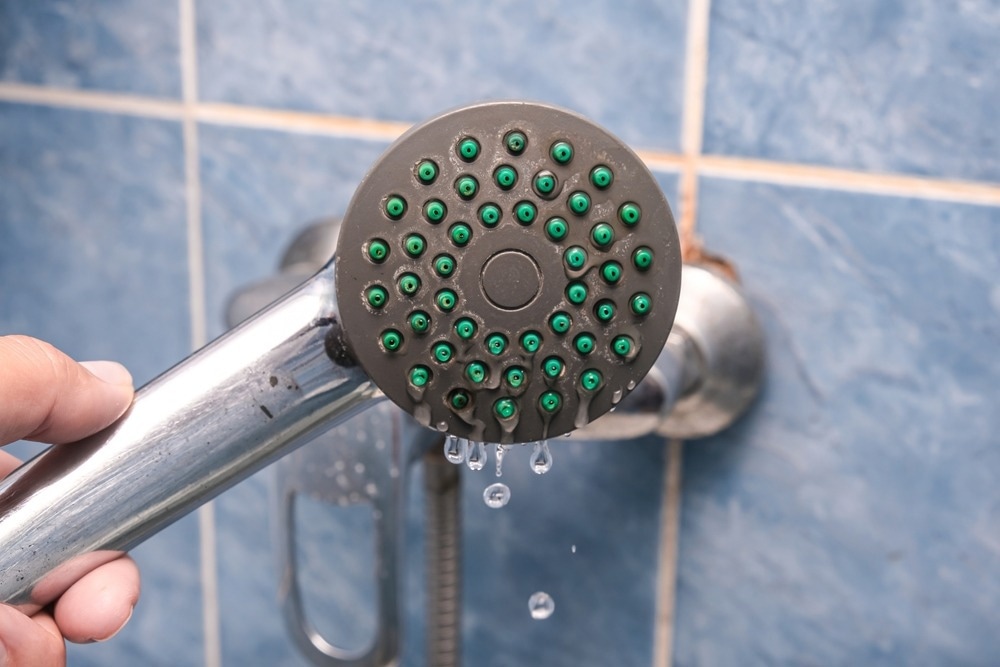 Study: Phage communities in household-related biofilms correlate with bacterial hosts. Image Credit: ReaLiia/Shutterstock.com