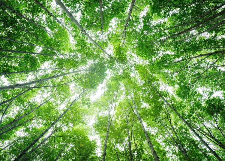 Study: The 2024 report of the Lancet Countdown on health and climate change: facing record-breaking threats from delayed action. Image Credit: Fahroni/Shutterstock.com