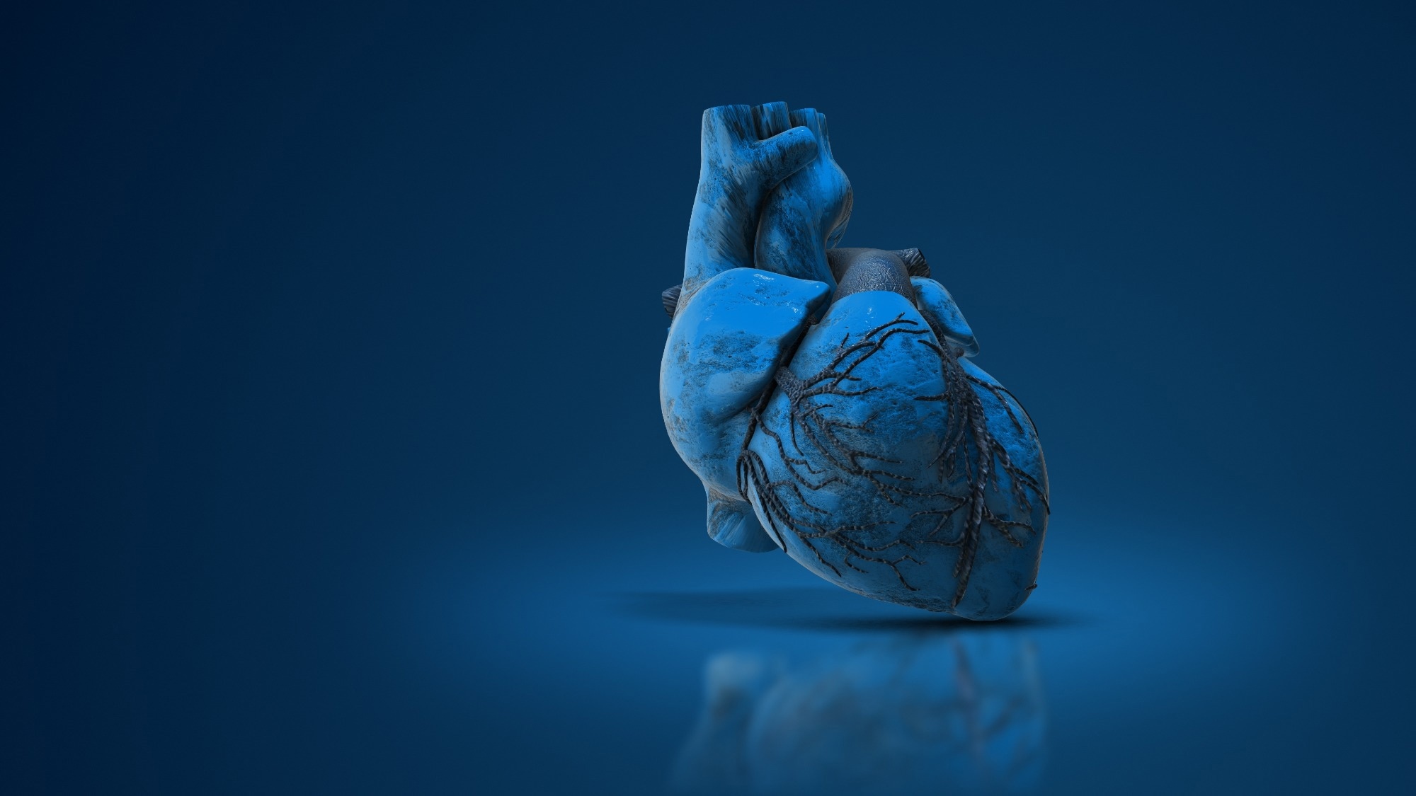 L'enzyme ARN est la clé du changement d'énergie des cellules cardiaques après la naissance
