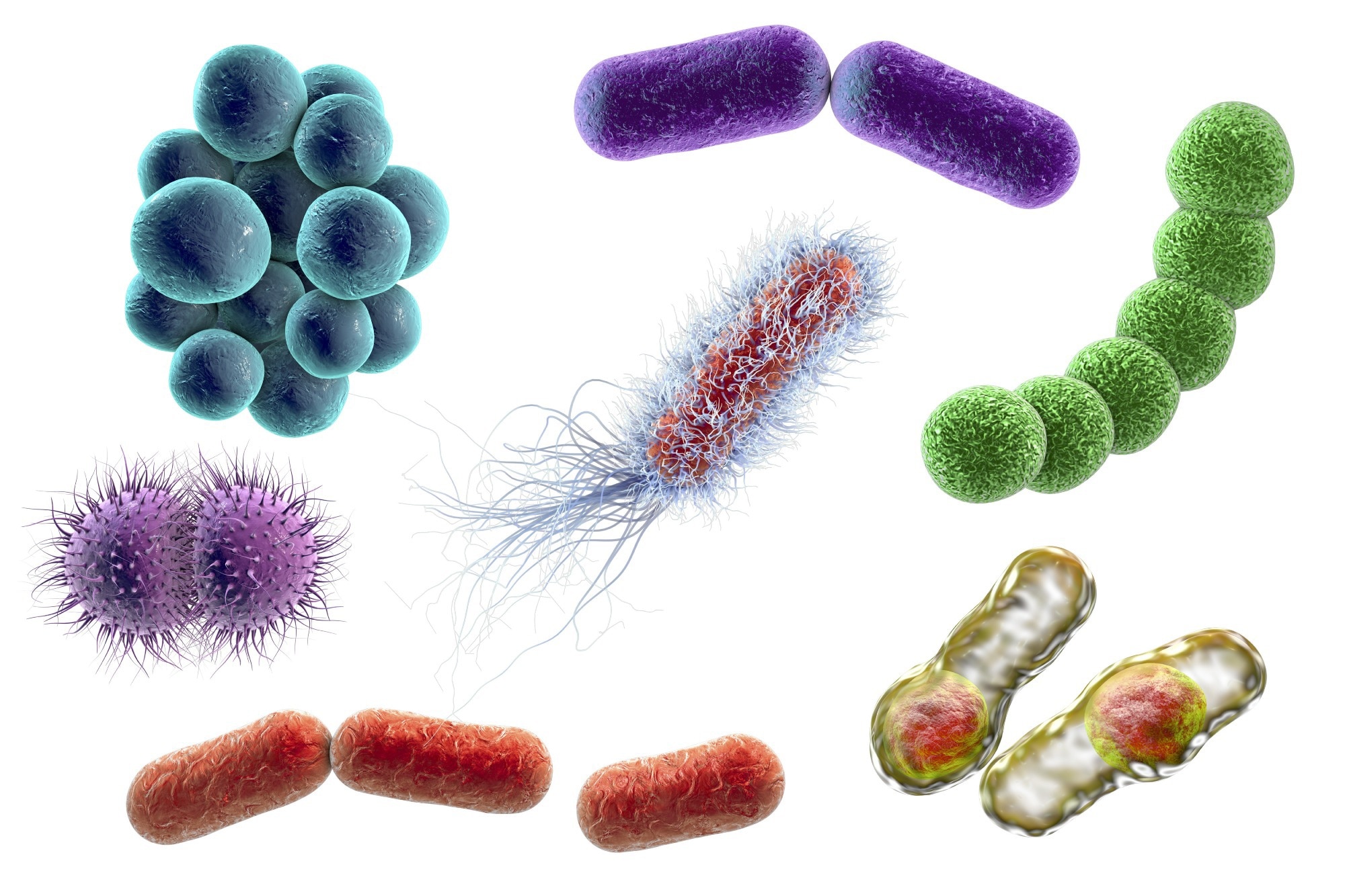 Study: Seven-year performance of a clinical metagenomic next-generation sequencing test for diagnosis of central nervous system infections. Image Credit: Kateryna Kon / Shutterstock