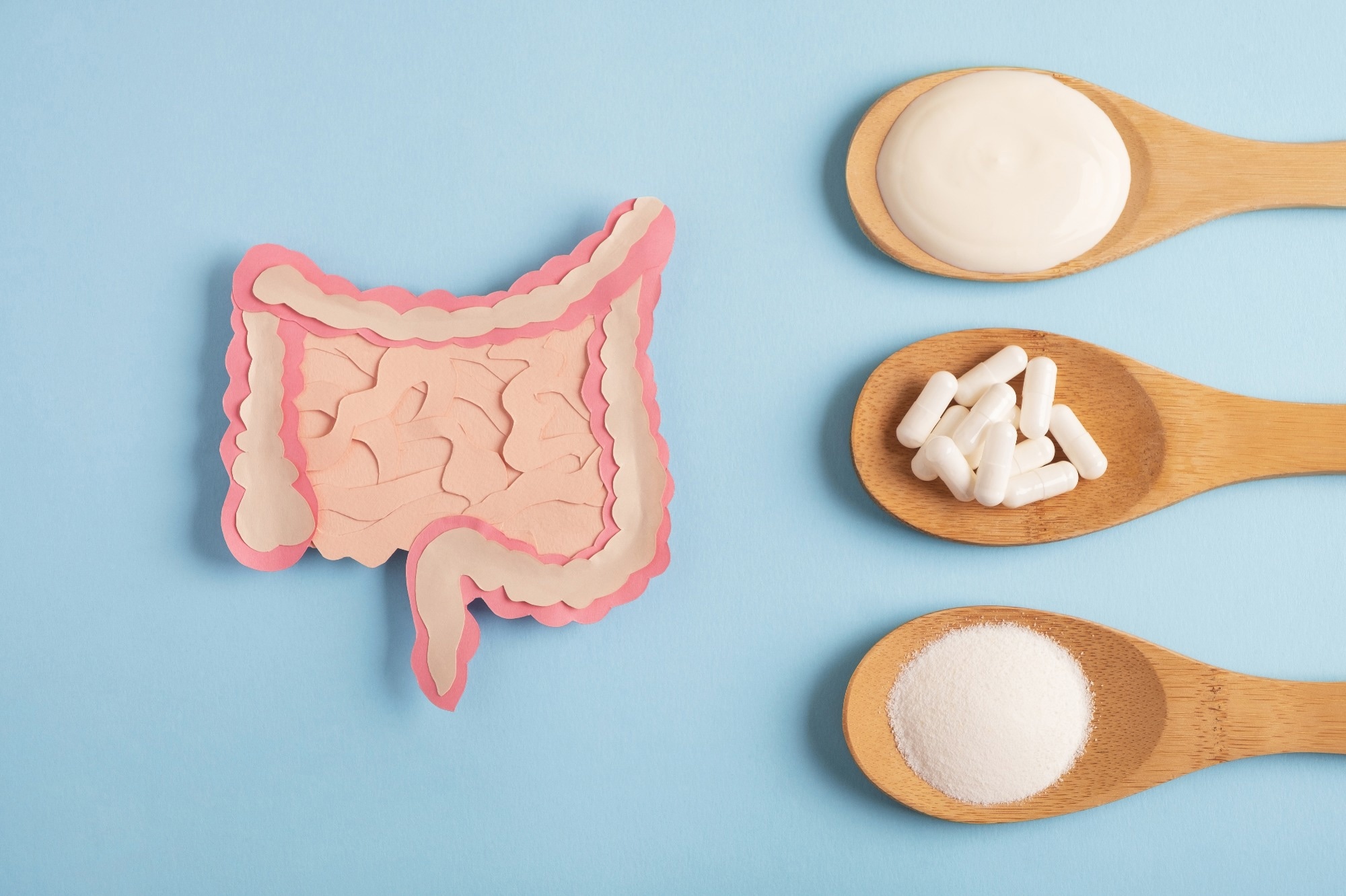 Picture of gut anatomy with probiotic pills