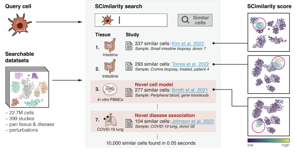 SCimilarity révolutionne l'analyse des données unicellulaires grâce à des comparaisons rapides entre tissus