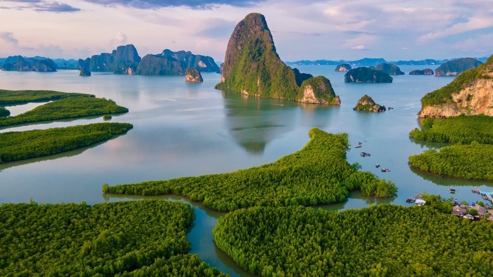 Paysage thaïlandais, mangroves