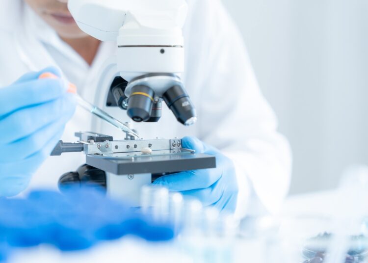 Study: Unique structural configuration of EV-DNA primes Kupffer cell-mediated antitumor immunity to prevent metastatic progression. Image Credit: shisu_ka/Shutterstock.com