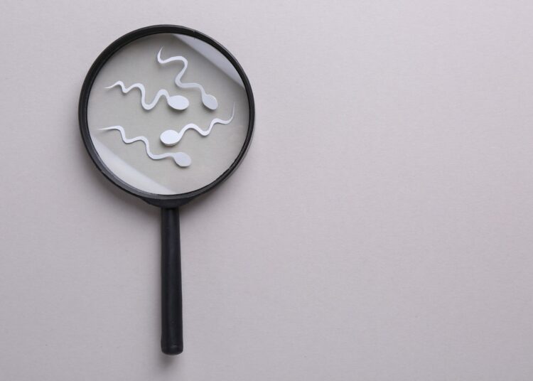 Magnifier and sperm cells on gray background