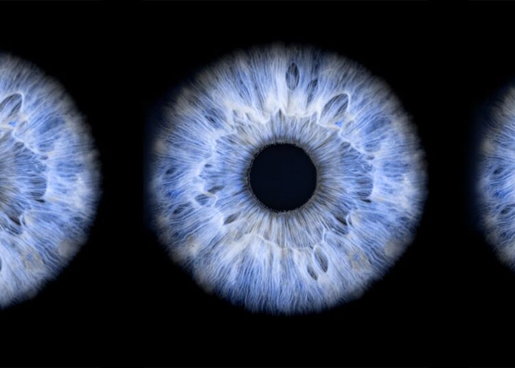 Comment les médecins peuvent-ils prédire votre risque d’accident vasculaire cérébral grâce à vos yeux