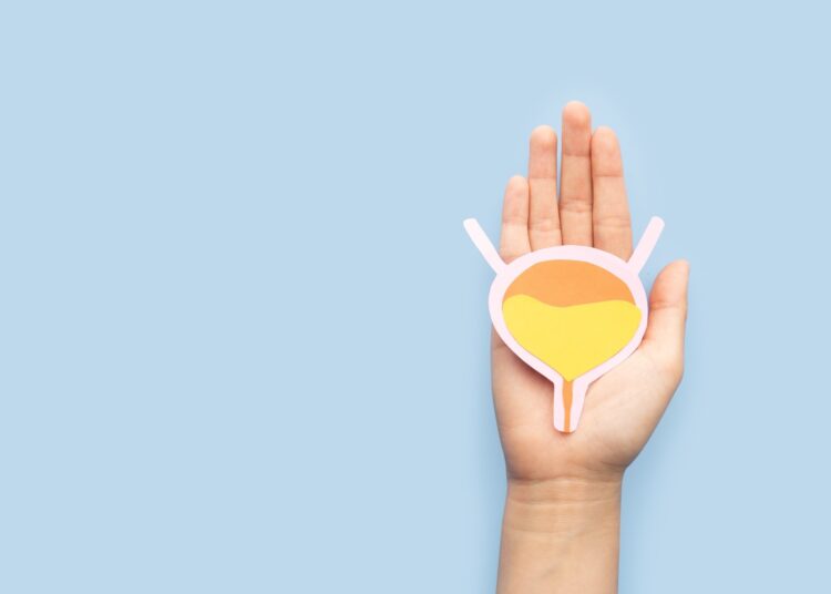 Woman hands holding bladder organ shape made from paper on light blue background.