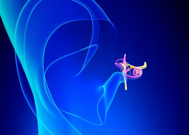 Research: Rehabilitation of human hearing with a totally implantable cochlear implant: a feasibility study. Image Credit: decade3d - anatomy online / Shutterstock