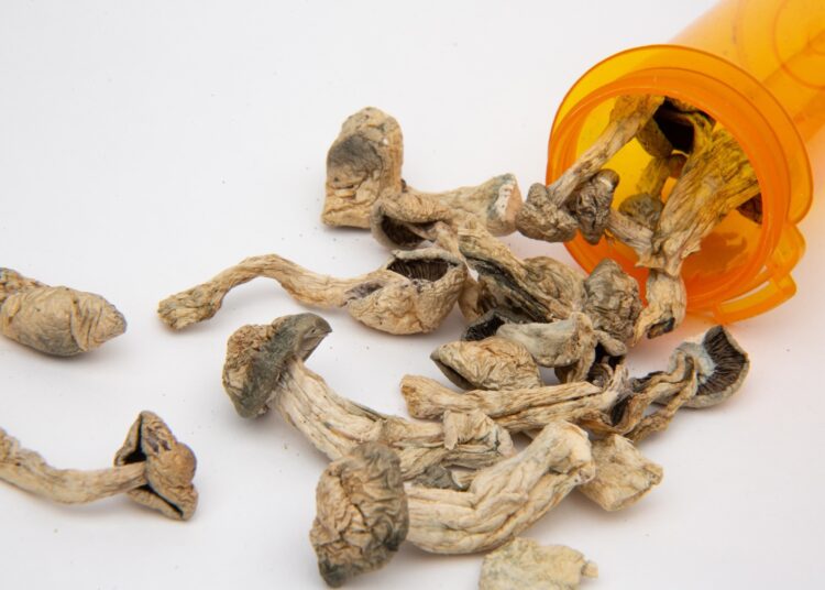 Study: From relaxed beliefs under psychedelics (REBUS) to revised beliefs after psychedelics (REBAS). Image Credit: Daniel Patrick Martin / Shutterstock