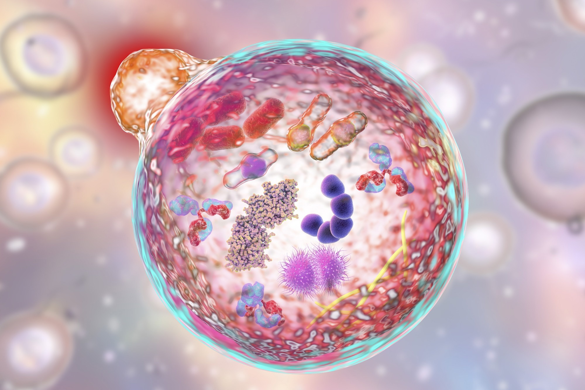 Review: Autophagy, aging, and age-related neurodegeneration. Image Credit: Kateryna Kon / Shutterstock