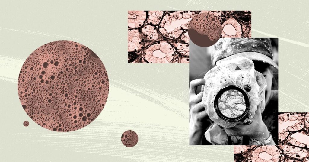 Les cellules de tout le corps stockent des « souvenirs » : qu’est-ce que cela signifie pour la santé ?