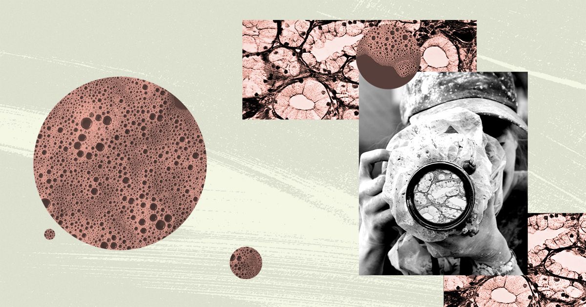 Les cellules de tout le corps stockent des « souvenirs » : qu’est-ce que cela signifie pour la santé ?