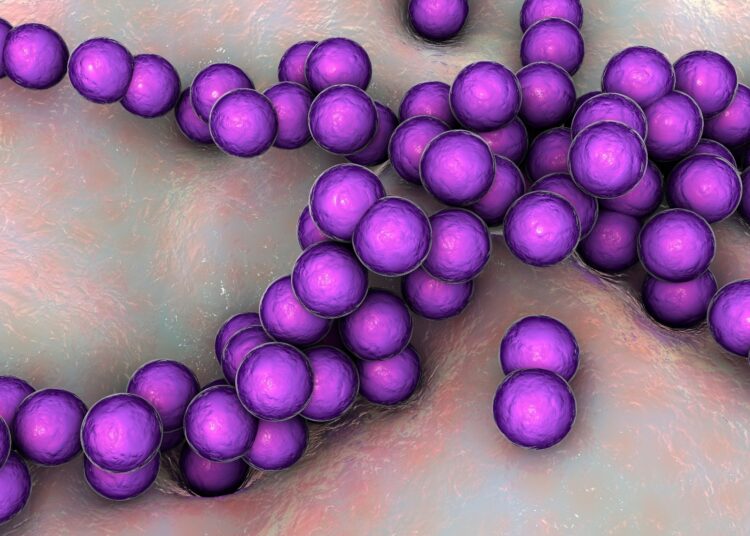 Study: Sucrose-preferring gut microbes prevent host obesity by producing exopolysaccharides. Image Credit: Kateryna Kon / Shutterstock