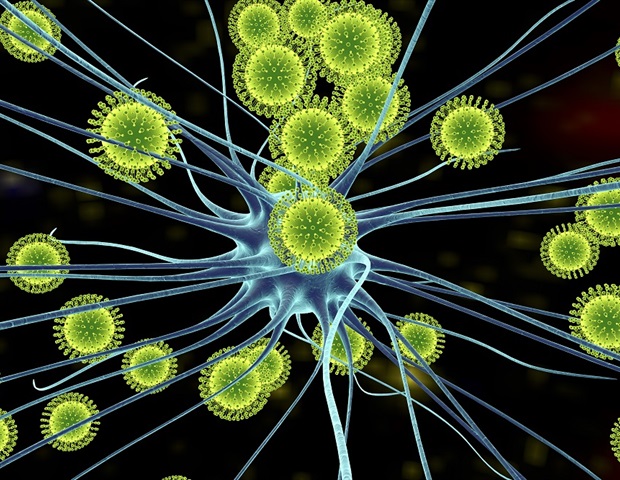 Une étude révèle comment le virus Zika détourne la protéine de son hôte pour se reproduire