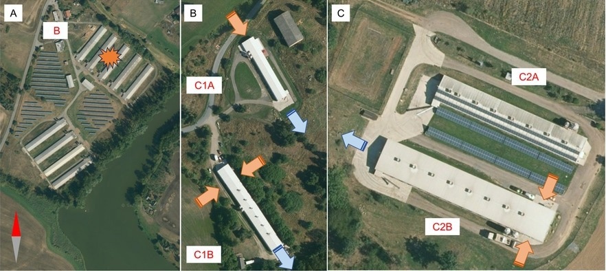 Locaux infectés. Disposition des maisons touchées dans les fermes B (A), C1 (b) et C2 (C). Sur C1 et C2, le flux d'air du système de ventilation du tunnel est indiqué avec des flèches orange pour les flèches d'entrée et bleues pour les sorties.