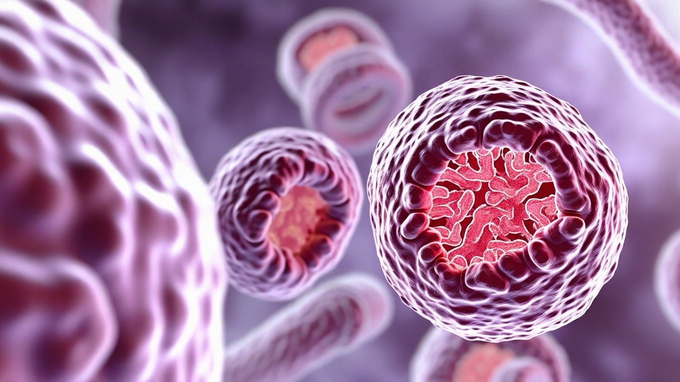 Amélioration de l'efficacité du méthotrexate dans le traitement du choriocarcinome