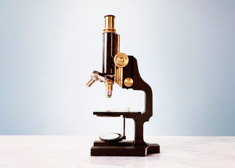 L'arrêt de l'épuisement du NAD pourrait-il être essentiel pour ralentir le vieillissement?