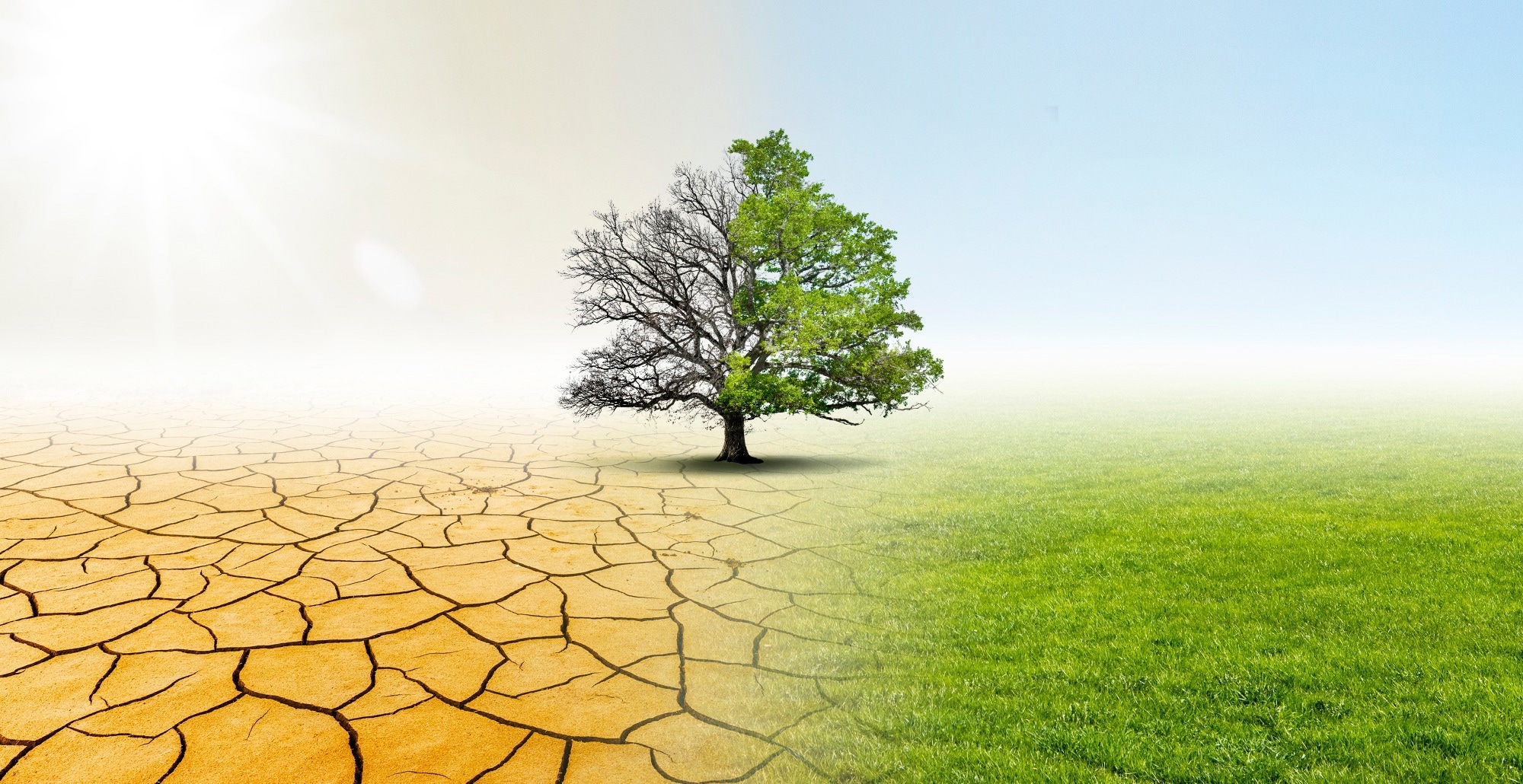 Review: Mortality impacts of the most extreme heat events. Image Credit: by-studio / Shutterstock