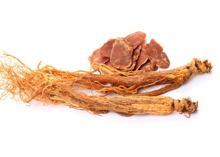 Study: Efficacy and safety of red ginseng extract powder (KGC05pg) in achieving glycemic control in prediabetic Korean adults: A 12-week, single-center, randomized, double-blind, parallel-group, placebo-controlled study. Image Credit: zhengchengbao / Shutterstock