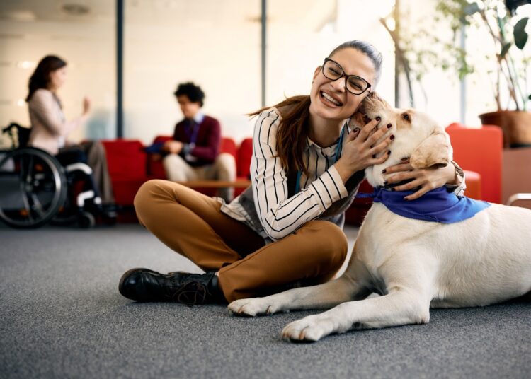 Happy entrepreneur embracing her Labrador therapy dog and having fun in the office.